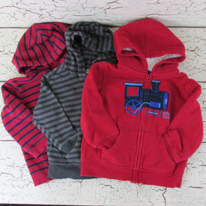 Lot of 3 boys hoodies 2T